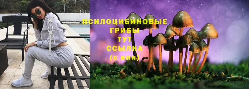 Галлюциногенные грибы MAGIC MUSHROOMS  Кореновск 